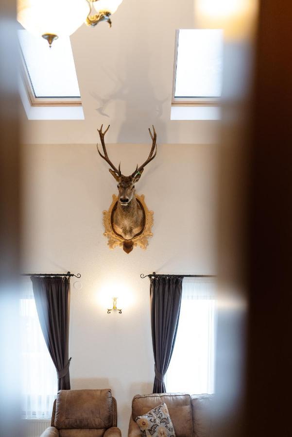 Transylvanian Relax House Lupeni  Eksteriør bilde