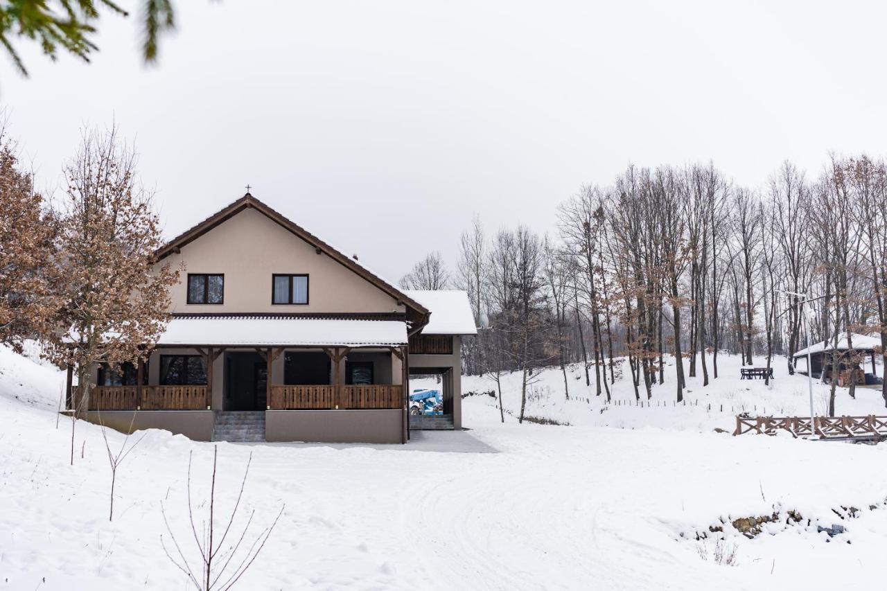 Transylvanian Relax House Lupeni  Eksteriør bilde